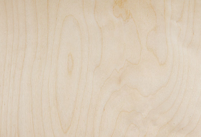 Birken-Sperrholz FF – 18mm